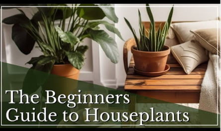 The Beginner's Guide to Thriving Indoor Plants