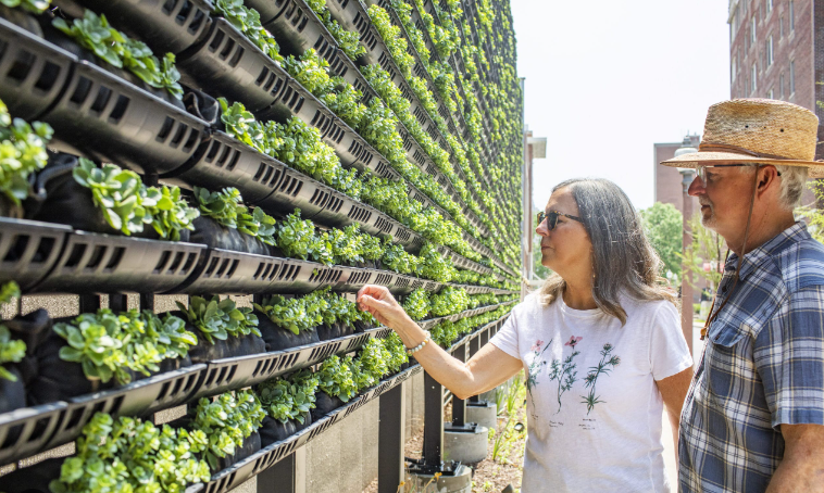 The Beginner's Guide to Urban Gardening: Growing Green in Small Spaces