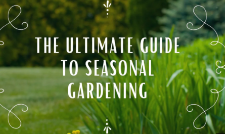 Seasonal Landscaping Tips: How to Maintain Your Garden All Year Round