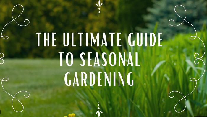 Seasonal Landscaping Tips: Maintain Your Garden All Year