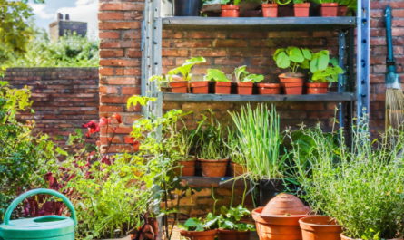 The Beginner's Guide to Urban Gardening: Growing Green in Small Spaces