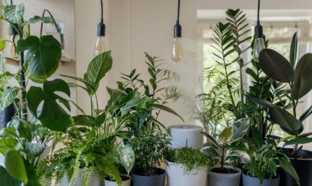 Top 10 Low-Maintenance Indoor Plants for Busy People